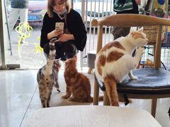 -平行世界·猫咖(首经贸店)