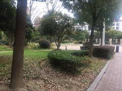 -同济大学(嘉定校区)
