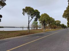 -漕湖湿地公园