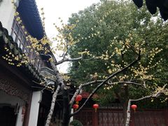 -檀园