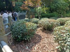 -十八棵（老龙井）御茶园(老龙井店)