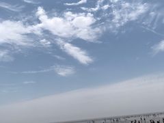 -奉贤海滩