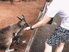-费瑟代尔野生动物园