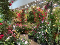 -双季花艺园艺市场(浦东店)
