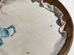 -外滩往事民国上海菜(黄浦店)