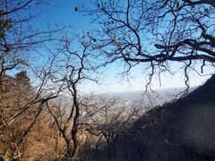 -北京鹫峰国家森林公园