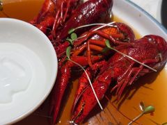 -杨氏青龙虾·羊蝎子(金盛路总店)