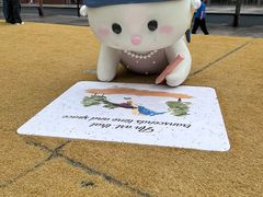 -深圳湾万象城(南山店)