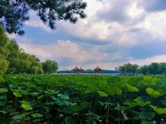 -长春市南湖公园