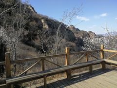 -大岭沟猕猴桃谷风景区