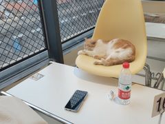 -怪兽屋·羊驼·猫咖·狗咖(俊华广场店)