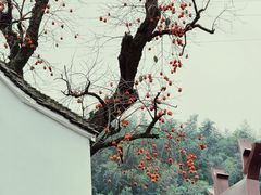 -丹山赤水风景名胜区