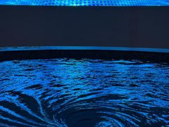 -涨巢·潮玩水疗局