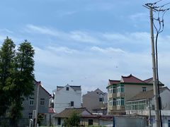-碧海金沙