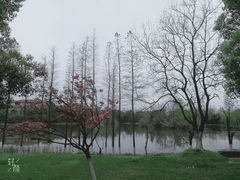 -艾溪湖湿地公园