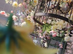 -秀儿家の小确幸融合西餐厅(万达店)