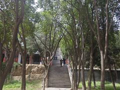 -函谷关历史文化旅游区