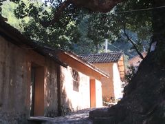 -杨家堂村