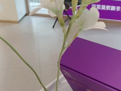 -GANSO元祖食品(莘潭店)