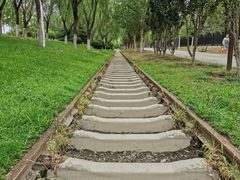 -永定河休闲森林公园