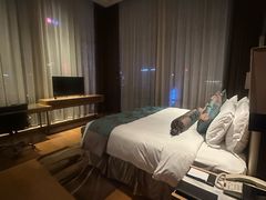 -深圳温德姆至尊酒店
