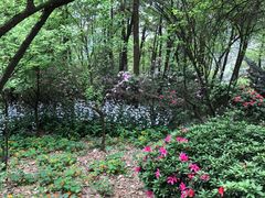-南山植物园
