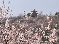 -白水寺森林公园