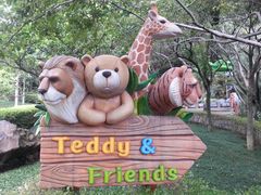 -济州岛泰迪熊博物馆