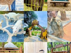 -南戴河国际娱乐中心