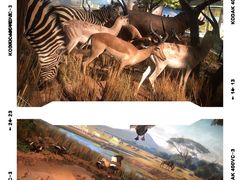 -陕西自然博物馆