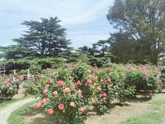 -国家植物园南园