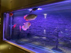 -手佳·水疗汇(嘉益店)