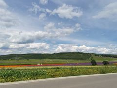 -草原天路(张北县)