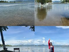 -洱海月湿地公园