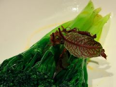 -月芽·自由餐厅·西溪湿地餐厅