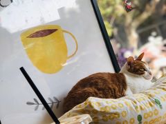 百香果草莓-W Coffee(船板巷店)