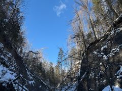 -峡谷浮石林景区