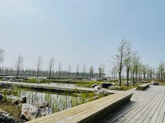 -春花秋色城市公园