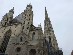 -斯蒂芬主教座堂(Stephansdom)