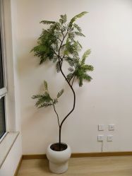 点击看大图 -小梨·OndaPro·专业脱毛连锁机构