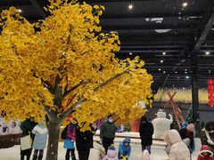 -宁波冰雪大世界(北仑区)