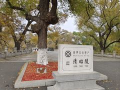 -北陵公园