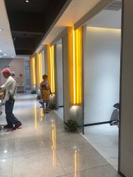 -可可丽舍