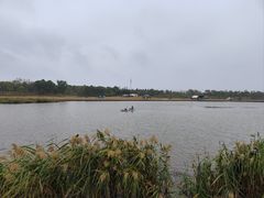 -春花秋色城市公园