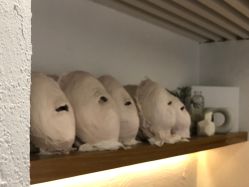 -ANNIL安奈尔·NASX超透白·科技抗衰·问题性肌肤管理
