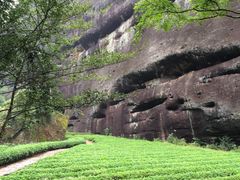 -武夷山风景名胜区-虎啸岩