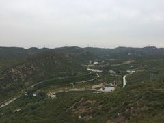 -五龙城郊森林公园