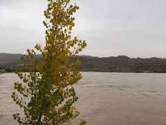 -迎宾楼(解放西街店)