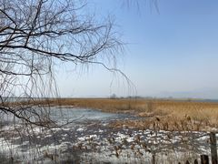 -野鸭湖国家湿地公园