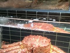 -浩运海鲜·16年专注青岛菜(石老人店)